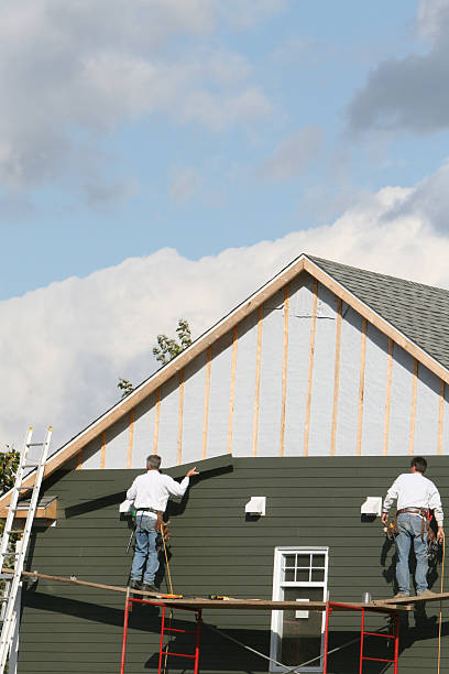 Best Custom Siding Design  in Hanover Park, IL